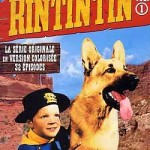 les-aventures-de-rintintin-018