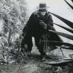 zorro-010