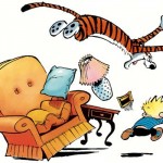 calvin-et-hobbes-015