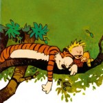 calvin-et-hobbes-024