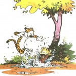 calvin-et-hobbes-037